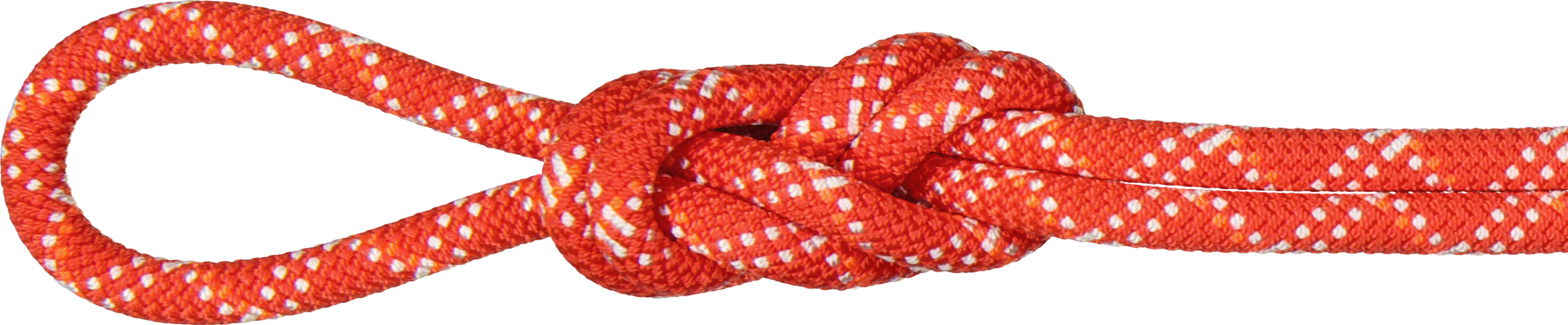 Mammut Gym Classic 9.5 Mm Tau
