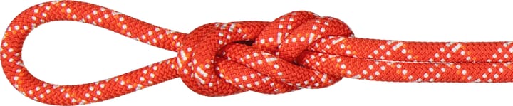 Mammut 9.5 Gym Classic Rope 50m Raspberry-white Mammut