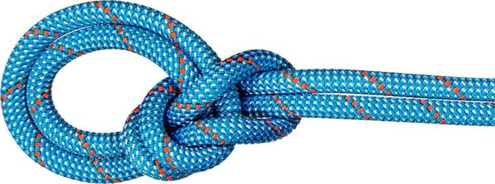 Mammut 9.8 Crag Classic Rope 60m Ice Mint-white Mammut