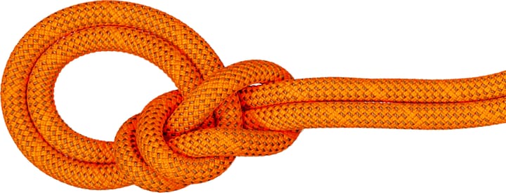 Mammut 9.8 Crag Dry Rope 50M Vibrant Orange-boa Mammut