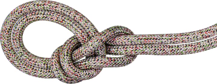 Mammut 9.5 Crag We Care Classic Rope 70M Assorted Mammut
