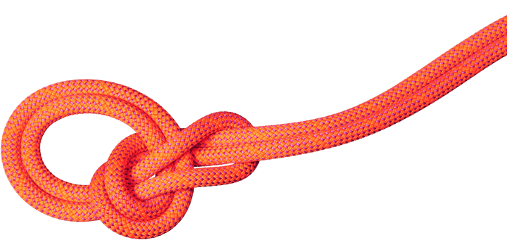 Mammut 9.8 Crag Dry Rope 80m Vibrant Orange-lavandin Mammut