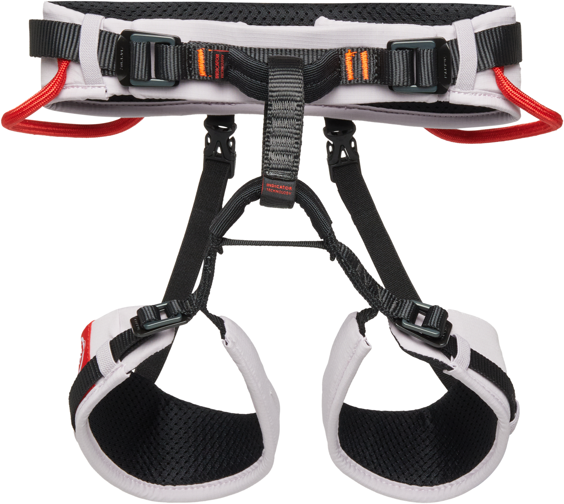 Alpine calamint-mammut red