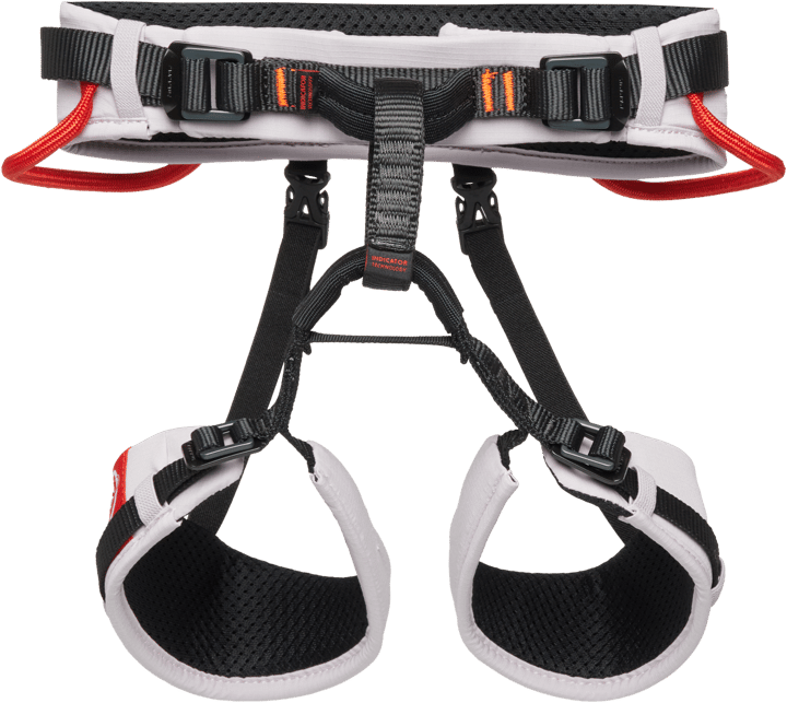 Mammut Ophir Kids 2.0 Harness Alpine Calamint-mammut Red Mammut