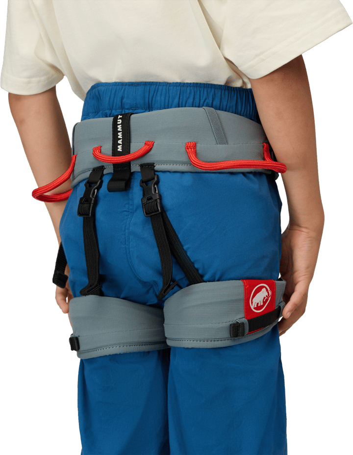 Mammut Ophir Kids 2.0 Harness Strata-mammut Red Mammut