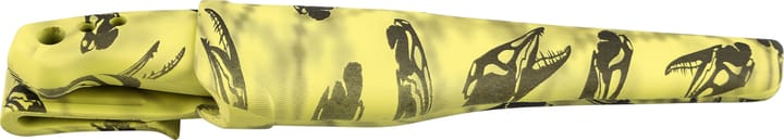 iFish Green Scull Green iFish