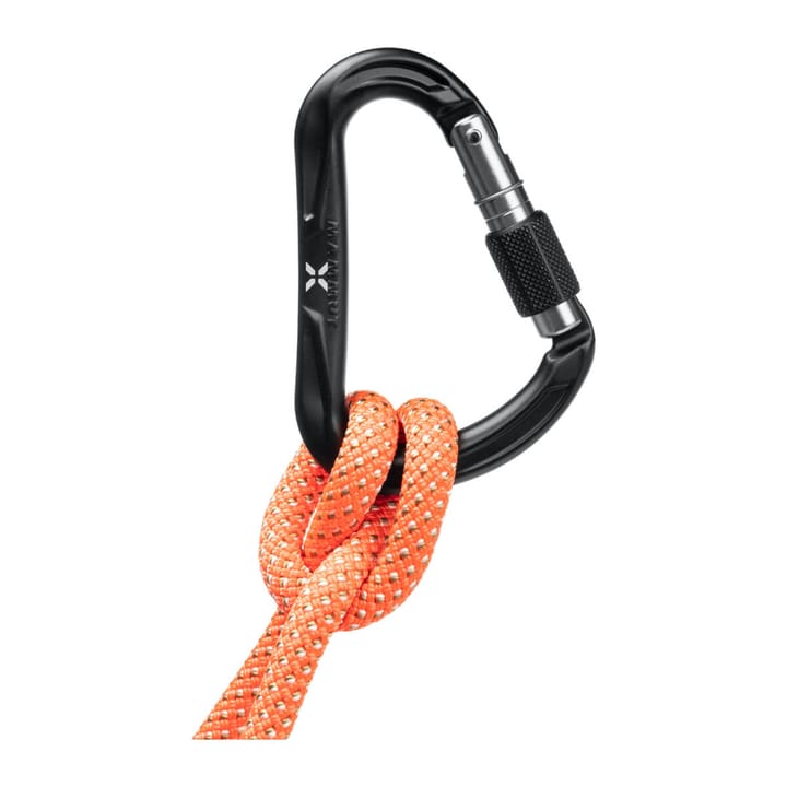 Mammut Nordwand Hms Carabiner Screw Gate/Black Mammut