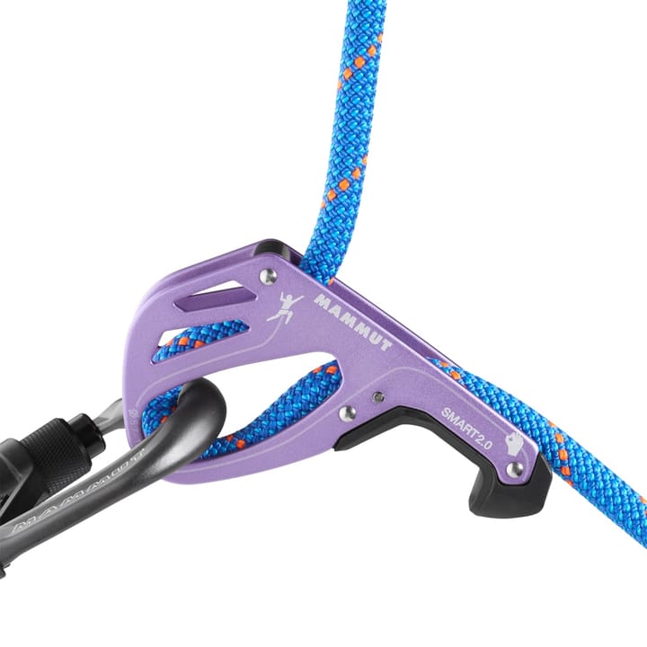 Mammut Smart 2.0 Belay Package Alpine Calamint Mammut