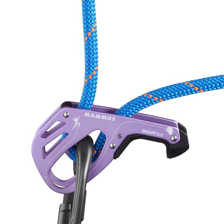 Mammut Smart 2.0 Belay Package Alpine Calamint Mammut