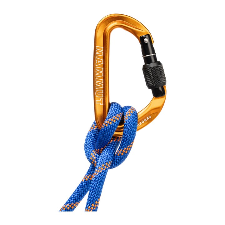 Mammut Sender Screwgate Carabiner Gold Mammut