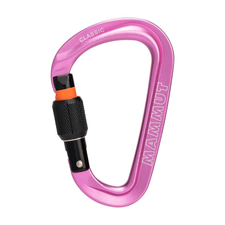 Mammut Classic HMS Screwgate Carabiner Screw Gate, Pink Mammut