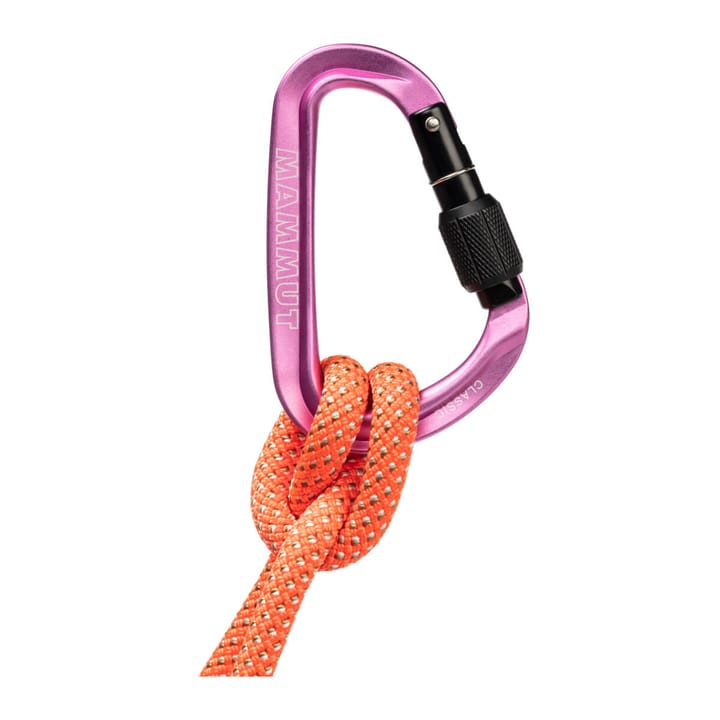 Mammut Classic HMS Screwgate Carabiner Screw Gate, Pink Mammut