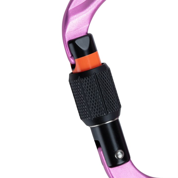 Mammut Classic HMS Screwgate Carabiner Screw Gate, Pink Mammut