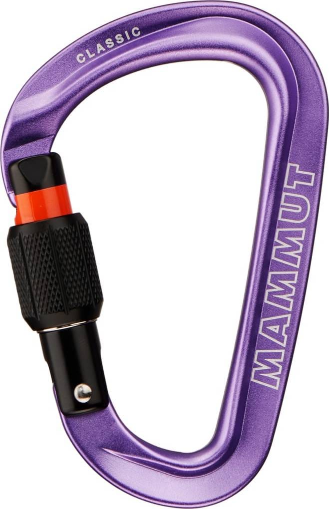 Mammut Classic HMS Screwgate Carabiner Screw Gate, Alpine Calamint Mammut