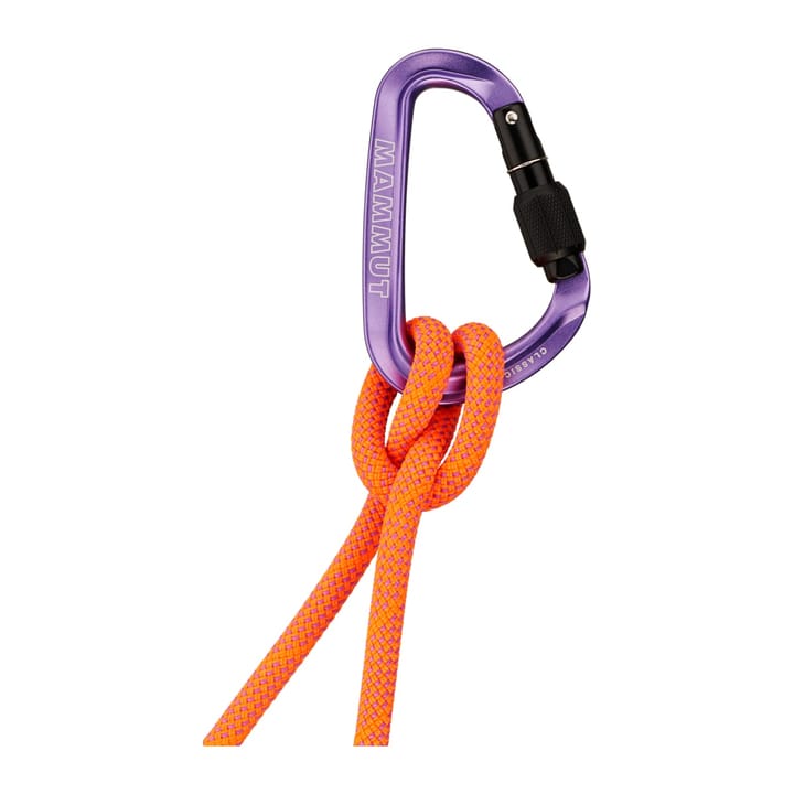 Mammut Classic HMS Screwgate Carabiner Screw Gate, Alpine Calamint Mammut