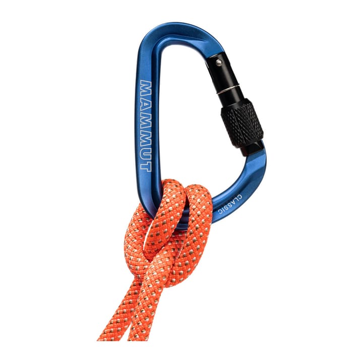 Mammut Classic HMS Screwgate Carabiner Screw Gate, Blue Mammut