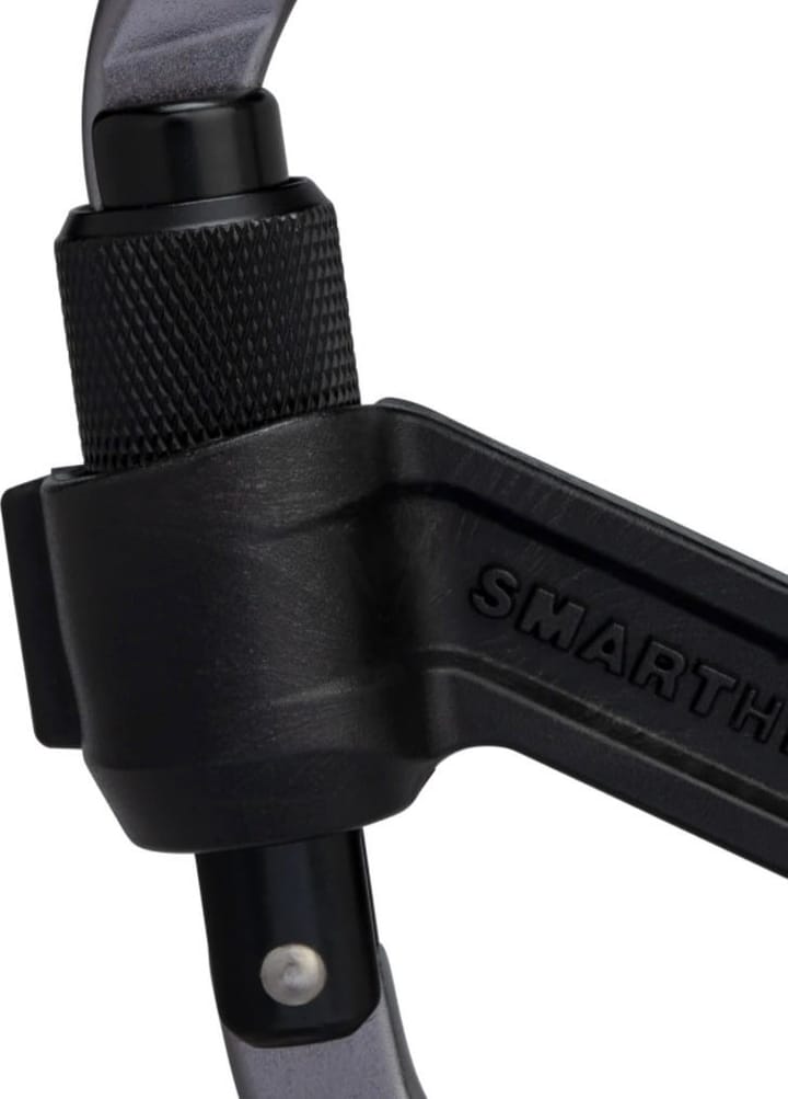 Mammut Smart Hms 2.0 Screwgate Carabiner Screw Gate Mammut
