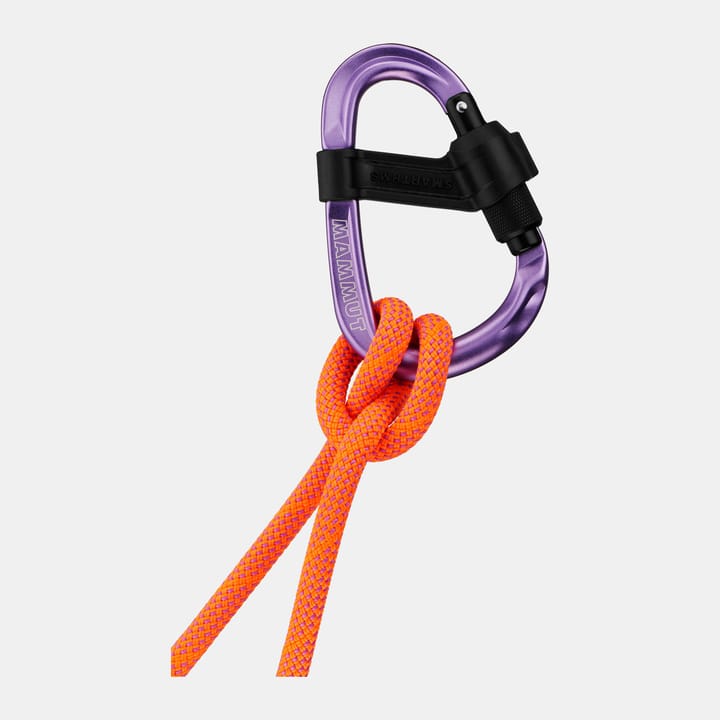 Mammut Smart Hms 2.0 Screwgate Carabiner Screw Gate, Alpine Calamint Mammut
