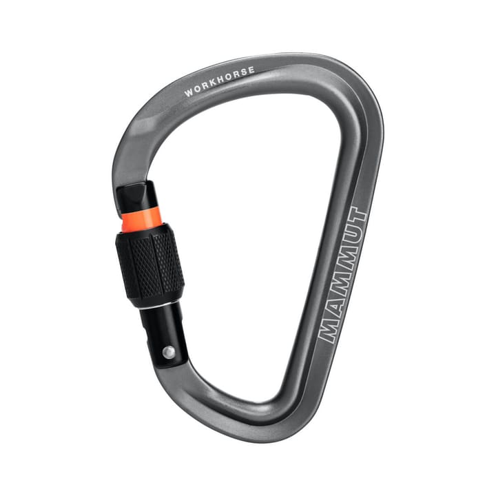 Mammut Workhorse HMS Screwgate Carabiner Grey Mammut