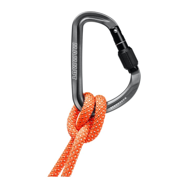 Mammut Workhorse HMS Screwgate Carabiner Grey Mammut