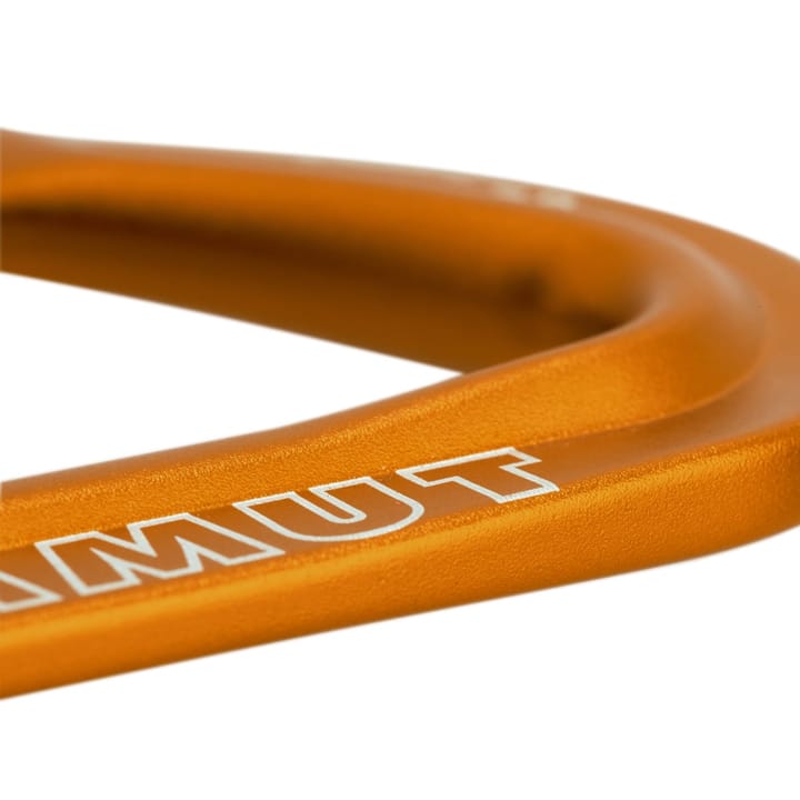 Mammut Sender Wire Carabiner Wire Gate Mammut