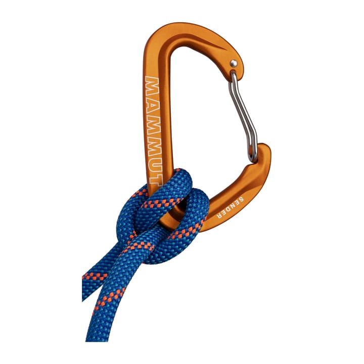 Mammut Sender Wire Carabiner Wire Gate Mammut