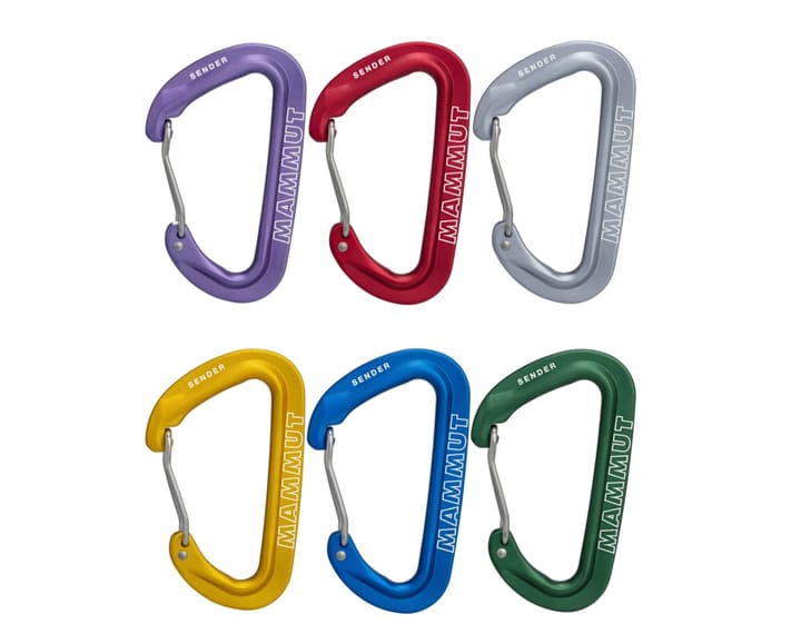 Mammut Sender Wire Rackpack Wire Gate, Multicolor Mammut
