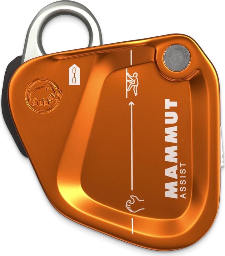 Mammut Mammut Assist Belay Resistor Gold Mammut