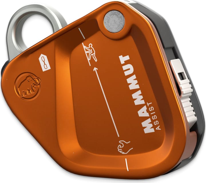 Mammut Mammut Assist Belay Resistor Gold Mammut