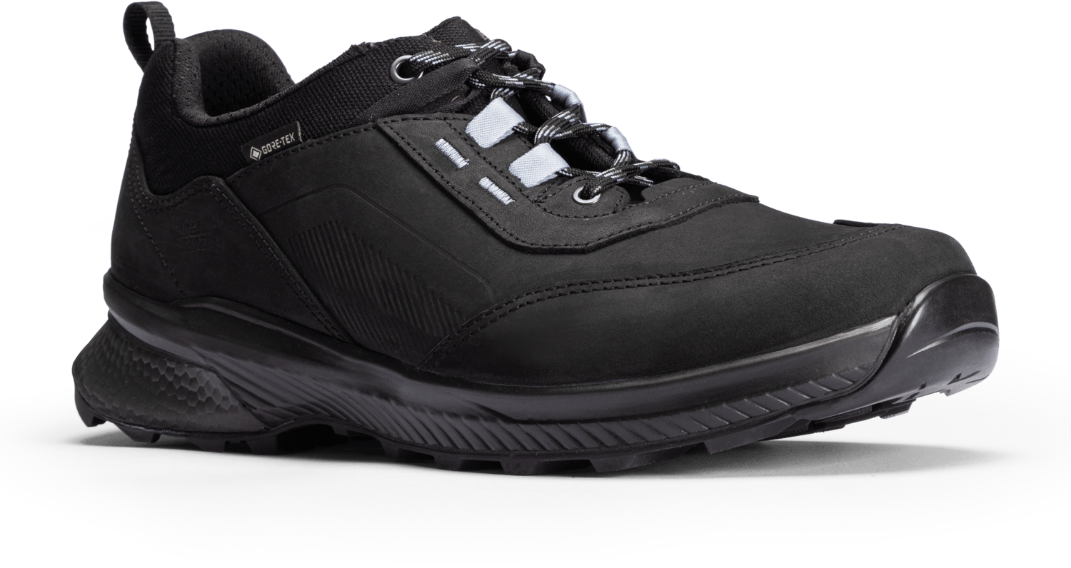 Hanwag Men's Fortavo Low SF Extra GORE-TEX Black/Asphalt
