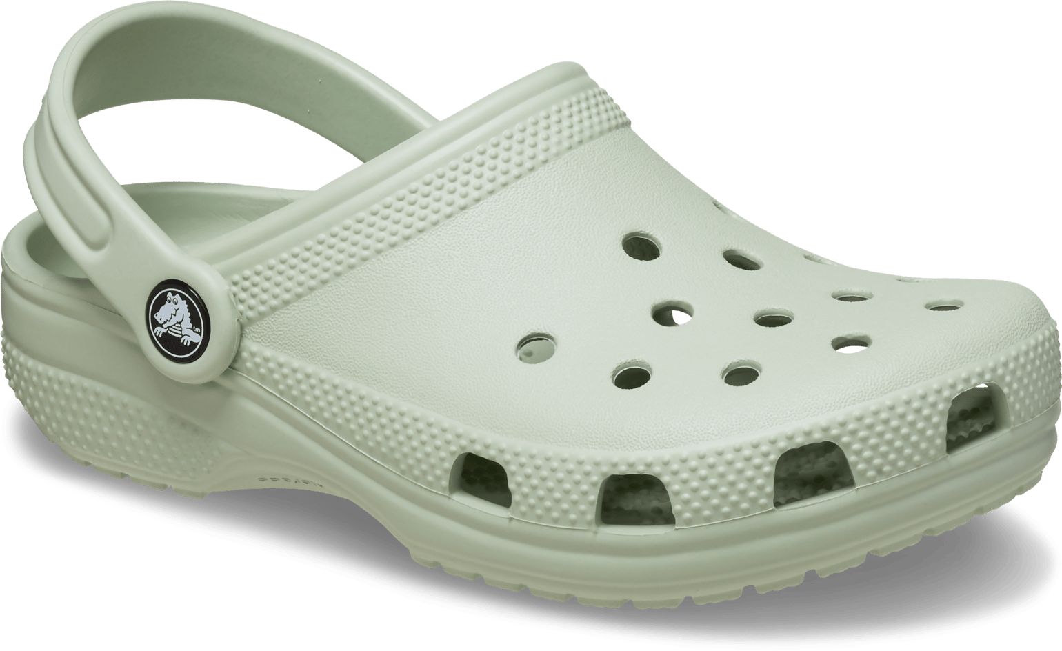 Crocs Kids' Toddler Classic Clog Plaster