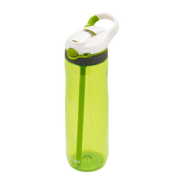 Contigo Ashland Citron Contigo Contigo Ashland Citron Contigo