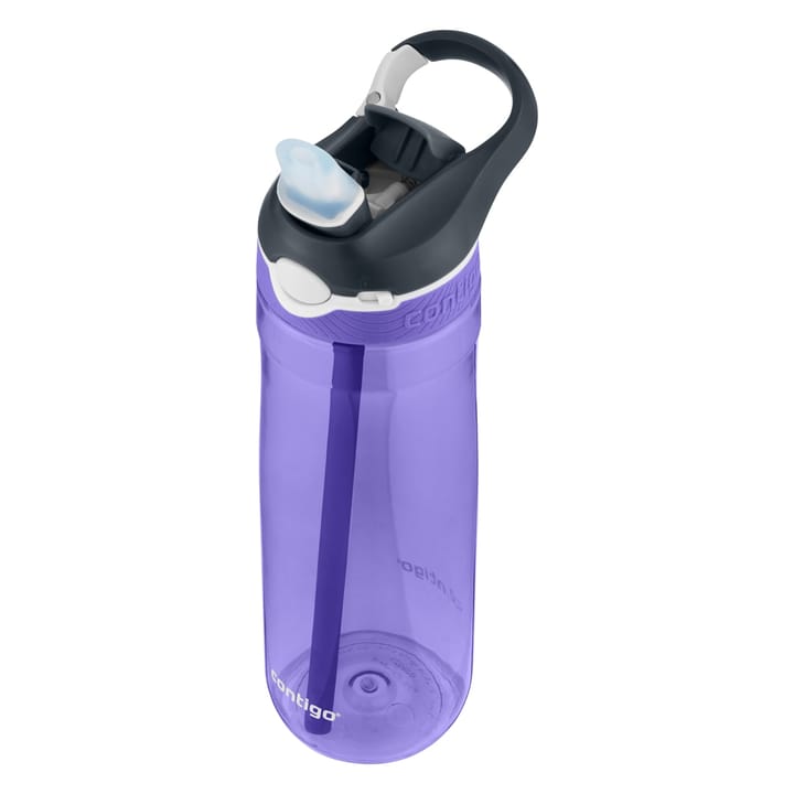 Contigo Ashland Grapevine 720 ml Contigo