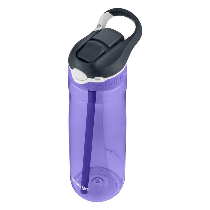 Contigo Ashland Grapevine 720 ml Contigo