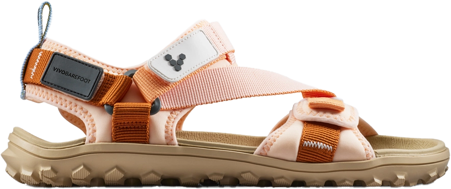 Coral 1