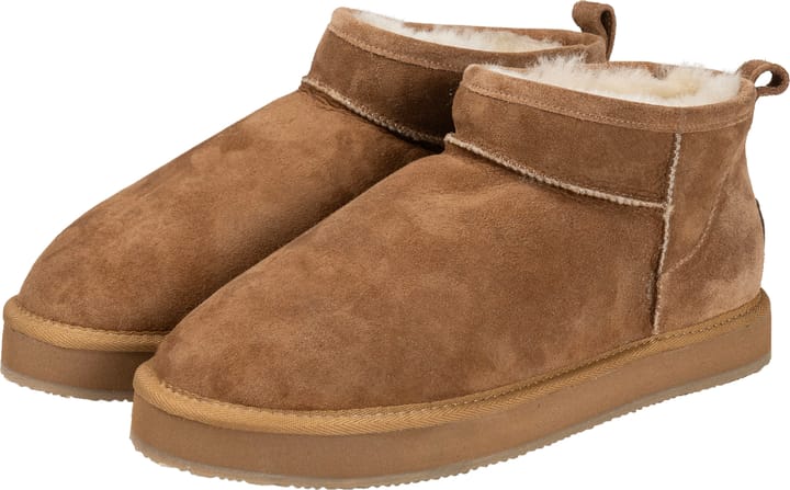Shepherd of Sweden Glasgow  Chestnut Shepherd of Sweden