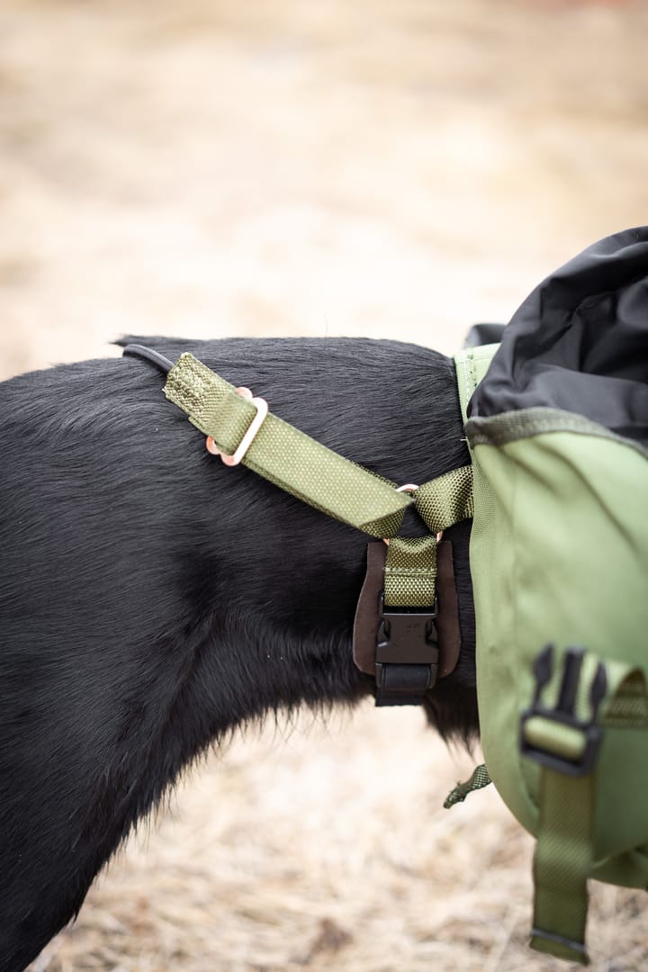 Seleverkstedet Togo hundekløv Grønn/brun Mini+ Seleverkstedet Seleverkstedet Togo hundekløv Grønn/brun Mini+ Seleverkstedet