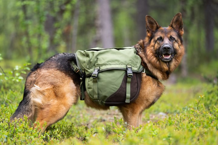 Seleverkstedet Togo hundekløv Grønn/brun M Seleverkstedet Seleverkstedet Togo hundekløv Grønn/brun M Seleverkstedet