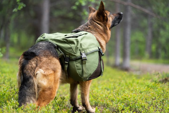 Seleverkstedet Togo hundekløv Grønn/brun M Seleverkstedet Seleverkstedet Togo hundekløv Grønn/brun M Seleverkstedet