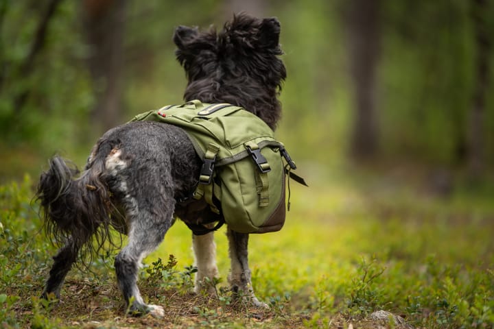Seleverkstedet Togo hundekløv Grønn/brun Mini+ Seleverkstedet Seleverkstedet Togo hundekløv Grønn/brun Mini+ Seleverkstedet