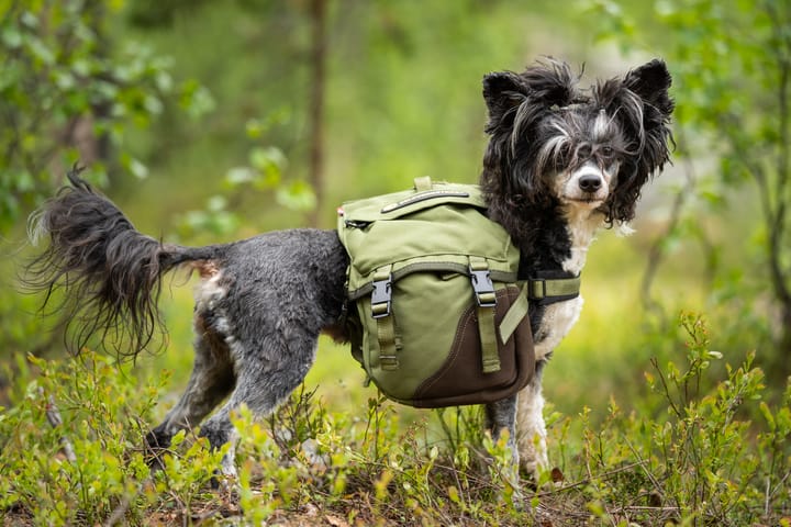 Seleverkstedet Togo hundekløv Grønn/brun Mini+ Seleverkstedet Seleverkstedet Togo hundekløv Grønn/brun Mini+ Seleverkstedet