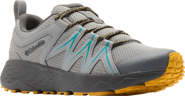 Columbia Men's Peakfreak Roam Walking Shoe Monument/Teal Chloride Columbia