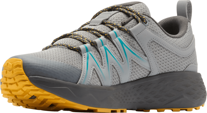 Columbia Men's Peakfreak Roam Walking Shoe Monument/Teal Chloride Columbia