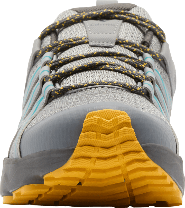 Columbia Men's Peakfreak Roam Walking Shoe Monument/Teal Chloride Columbia