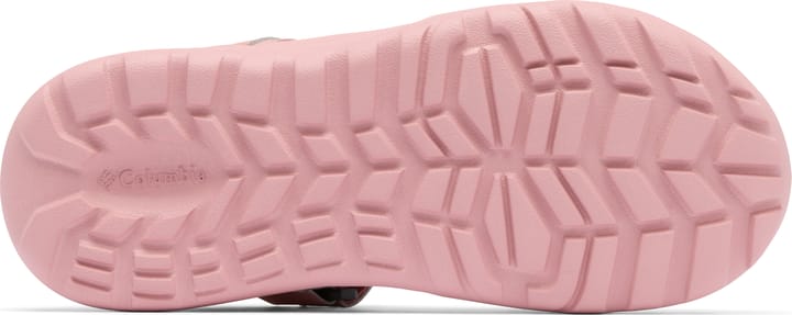 Columbia Women's Peakfreak Roam Sandal Eraser Pink, Mocha Columbia Columbia Women's Peakfreak Roam Sandal Eraser Pink, Mocha Columbia