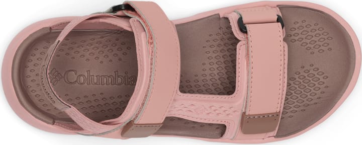 Columbia Women's Peakfreak Roam Sandal Eraser Pink, Mocha Columbia Columbia Women's Peakfreak Roam Sandal Eraser Pink, Mocha Columbia