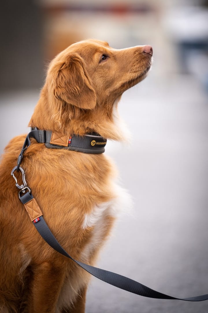 Seleverkstedet Link Dog Lead 20mm Grå/Brun 200cm Seleverkstedet