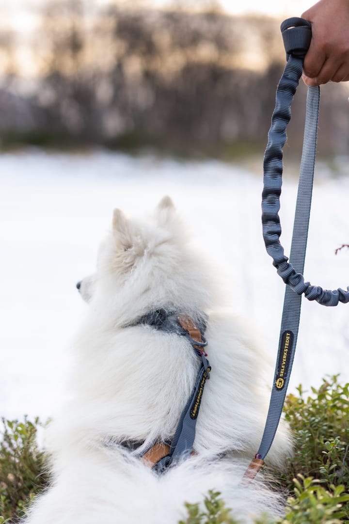 Seleverkstedet Trekreg Dog Harness Grå/Brun XL Seleverkstedet