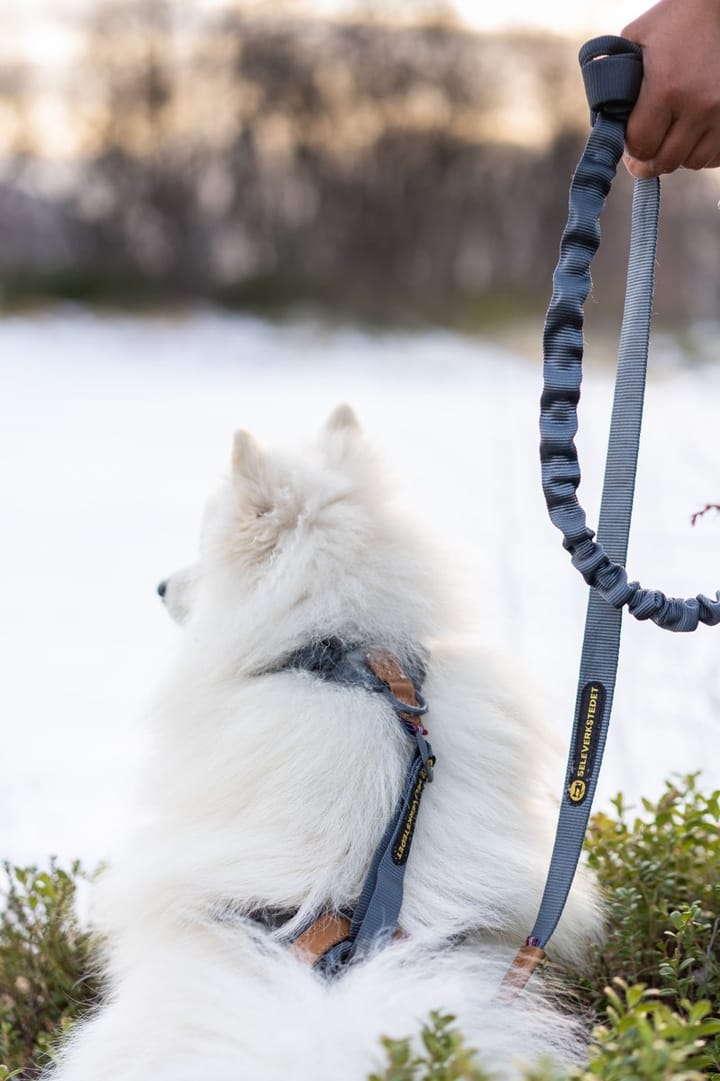 Seleverkstedet Trekreg dog harness Grå/brun XXS Seleverkstedet