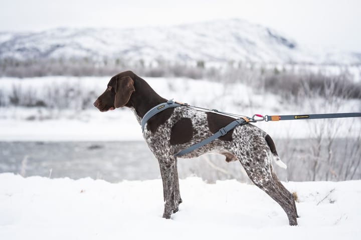 Seleverkstedet Trekreg Dog Harness Grå/Brun M Seleverkstedet